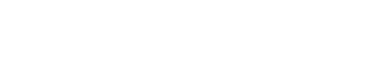 Bandwix Logo